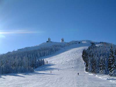 arber-winter-4