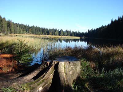 kl-arbersee-2